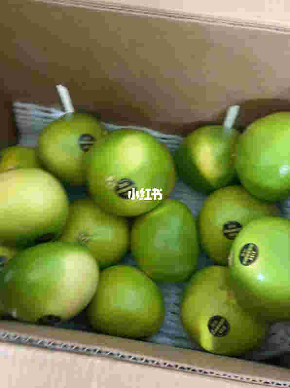  當天！柚子二代網上哪里可以買“刺股讀書”-第2張圖片-yanyou技術網