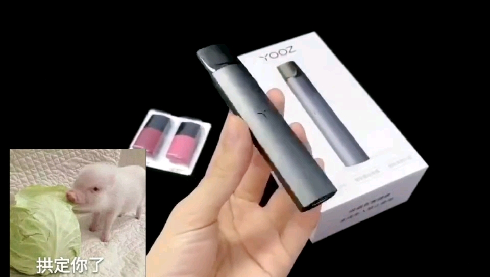 揭秘!柚子二代的價錢-2023已更新(今日/新聞)-第1張圖片-脈絡網