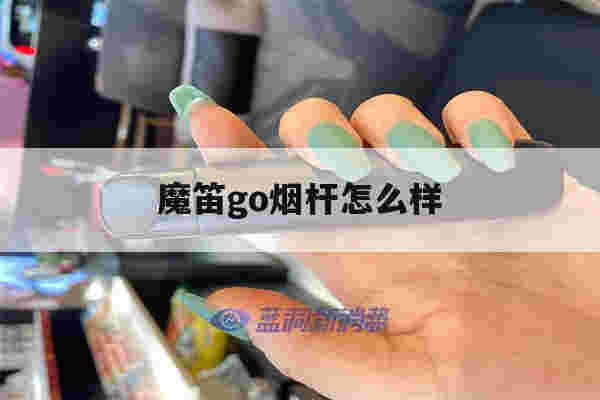 魔笛go煙桿怎么樣(魔笛go煙桿和什么煙彈通用)-第1張圖片-電子煙煙油論壇
