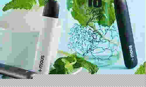 國外電子煙品牌雪加搜索(國內電子煙雪茄)