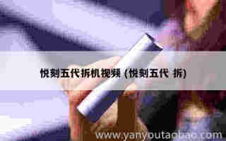 悅刻五代煙彈防塵硅膠 (悅刻煙彈五代真假對比)