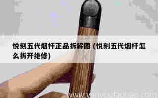 悅刻五代煙桿正品拆解圖 (悅刻五代煙桿怎么拆開維修)