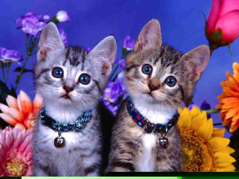 溫州吾悅廣場悅刻電子煙在幾樓(瑞安吾悅廣場悅刻電子煙)