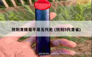 悅刻煙彈價錢五代多少 (悅刻五代煙彈多少一顆)