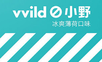 小野V1和V2的區別有哪些？