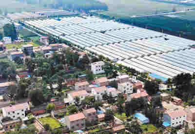 風沙窩變成“金銀鋪”（集中連片特困地區貧困村調研行）