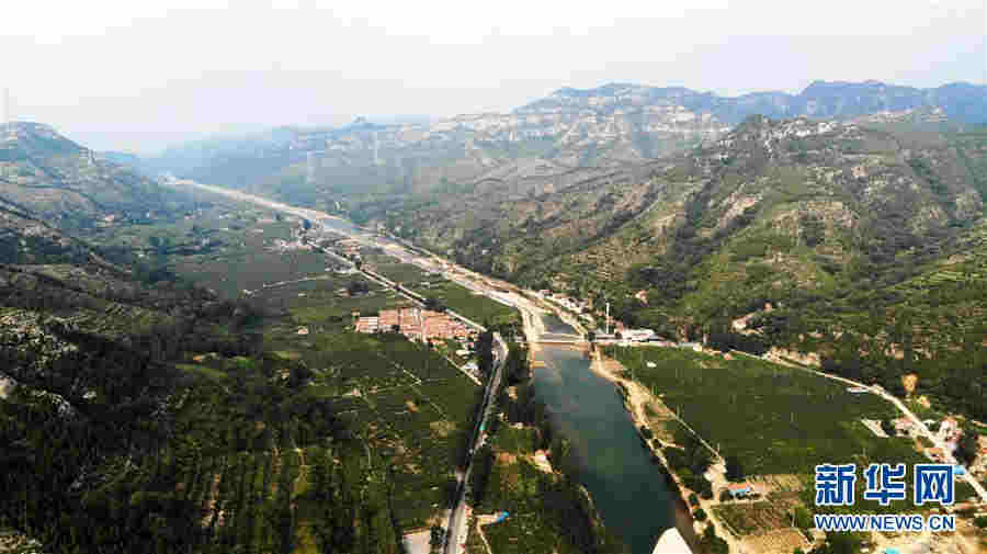 （經濟）（1）小小獼猴桃成鄉村振興“致富果”