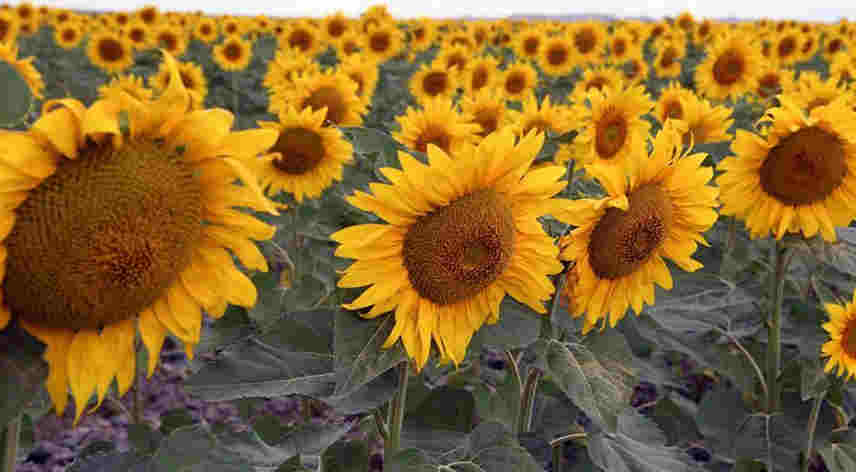 中建二局旗下公司未按圖紙施工被廣州住建局通報