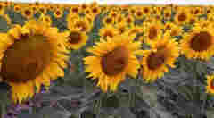 中建二局旗下公司未按圖紙施工被廣州住建局通報