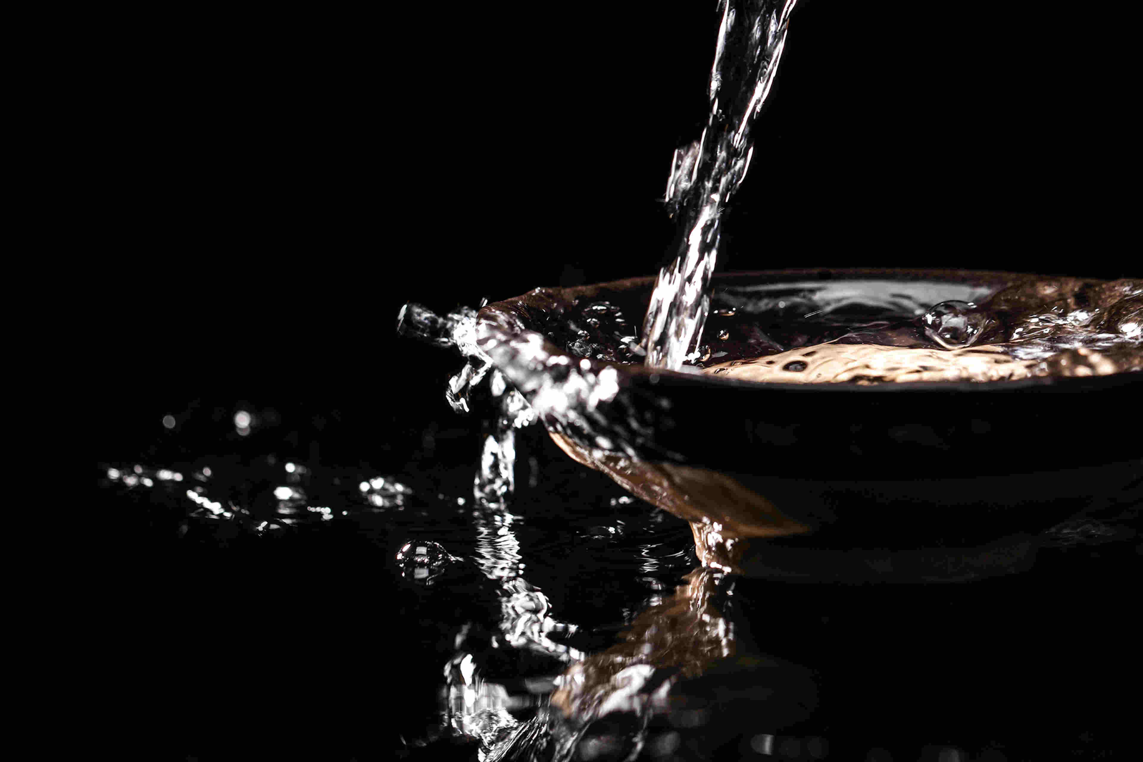 豬死了扇貝跑了存款飛了！股民：我是來炒股還是追劇的？