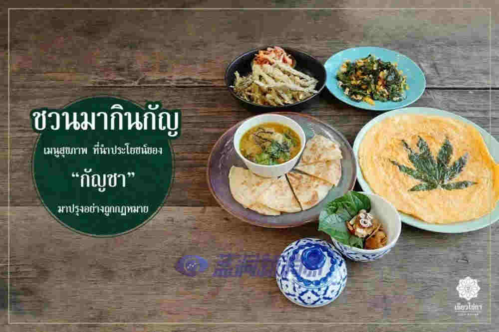 泰國專家稱：到2025年，大麻可為泰國制藥業創造80億泰銖的收入 