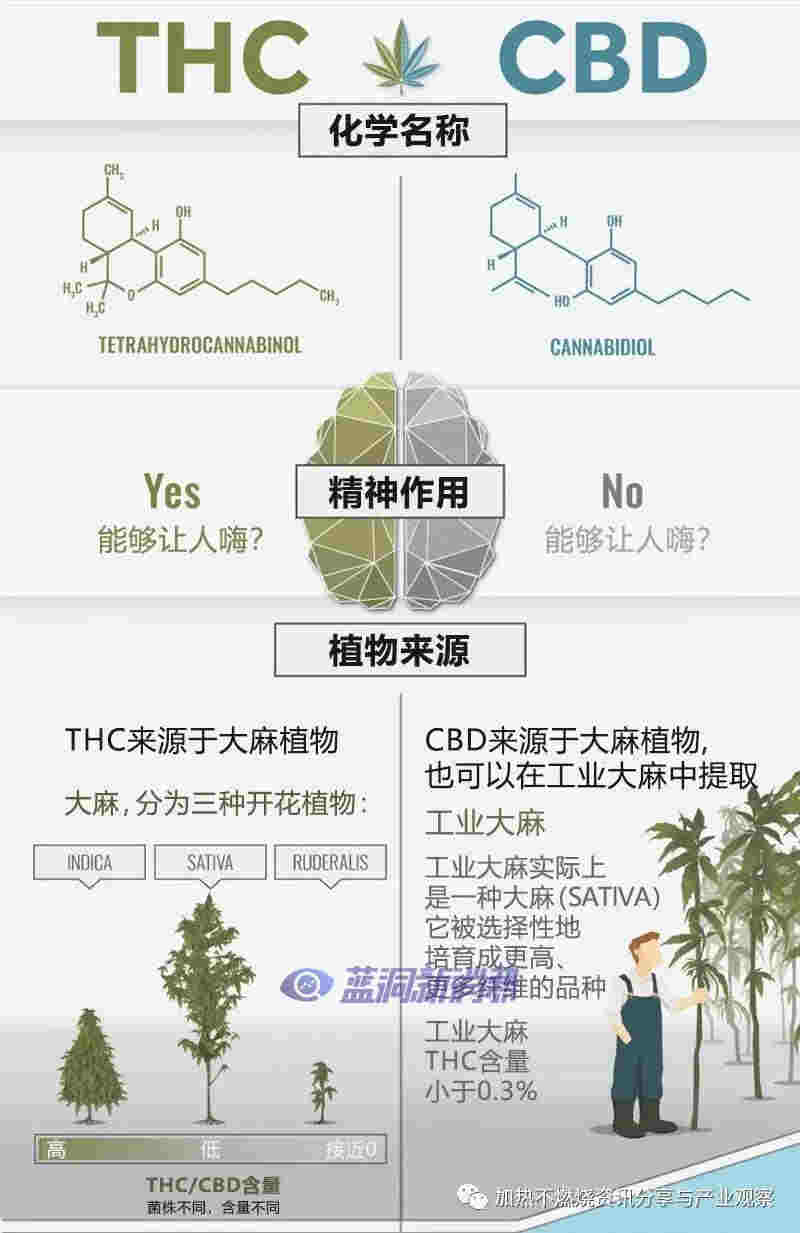 HNB浪潮下的新機遇？日本市場推出新型加熱不燃燒茶葉棒“CBD HEAL” 