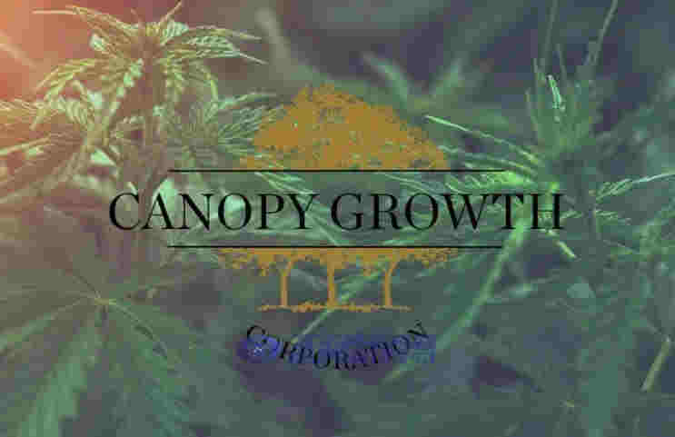 剛剛，墨西哥正式通過大麻合法化，成為全球第三個大麻完全合法化的國家！ 