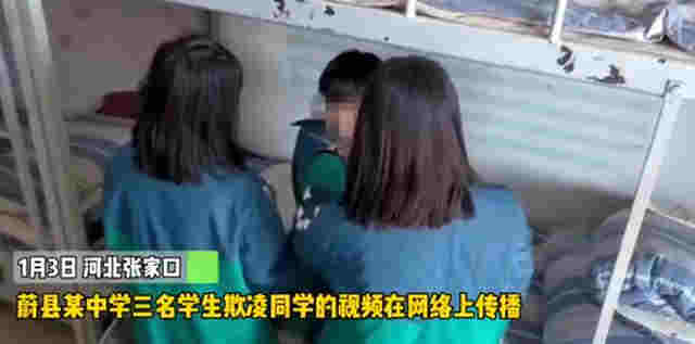 河北初中女生被同學逼抽電子煙，拒絕后遭輪扇耳光，涉事校長已停職 