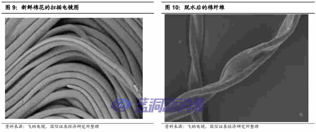 國信證券：電子煙技術難在哪里，如何影響競爭格局 