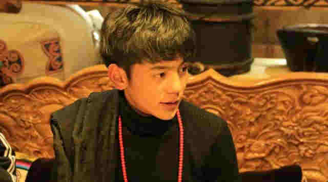 丁真吸煙視頻曝光動作熟練，公司回應惹爭議：電子煙不是煙 