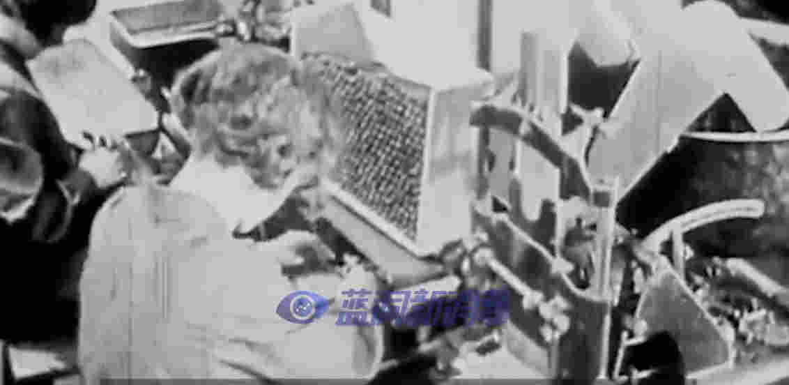 香煙與電子煙的前世今生，15分鐘短視頻帶你一趟走完 