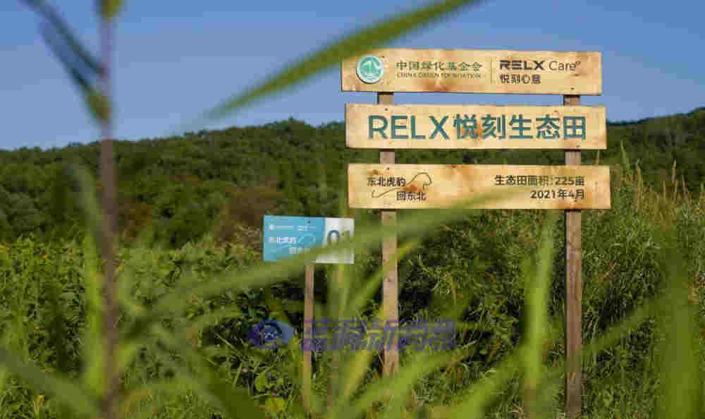 RELX悅刻發布年度社會責任報告，4大亮點值得關注 
