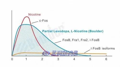 鉑德KATE Graffiti口味家族即將上市8款新口味  采用升級版費雪油 