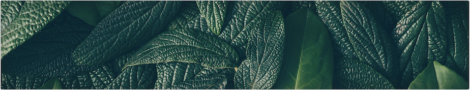 vvild小野煙彈口味怎么樣？口味推薦 