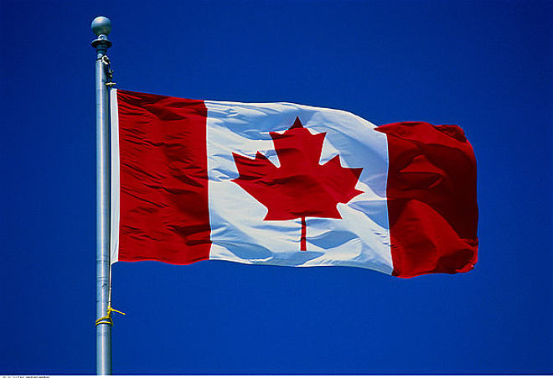 加拿大衛生部正推動電子煙口味禁令，除煙草及薄荷以外的口味禁止銷售