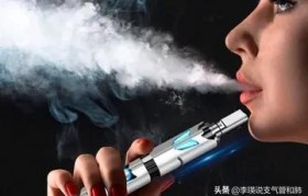 蓮霧電子霧化器，蓮霧電子煙桿
