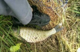 電子煙霧化器 變味，霧化器是電子煙嗎