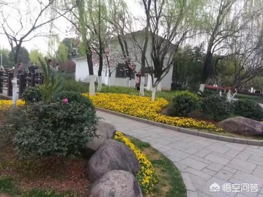 專家談電子煙有害嗎？二手電子煙對孕婦有害嗎