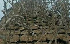 優8電子霧化器  非我電子霧化器價格